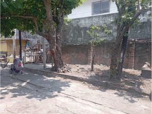 Terreno en venta en Pascual Ortiz Rubio, Veracruz — foto 3 de 13