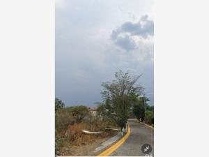 Terreno en venta en Burgos, Temixco — foto 3 de 6