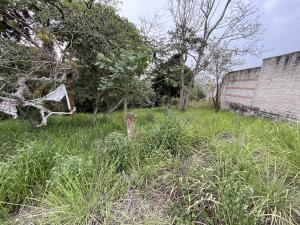 Terreno en venta en La Estanzuela, Emiliano Zapata — foto 3 de 9