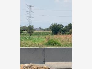 Terreno en venta en Santa Ana Coatepec, Huaquechula — foto 3 de 11