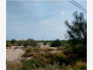Terreno en venta en La Paz, Torreón, Coahuila de Zaragoza