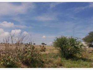 Terreno en venta en La Paz, Torreón — foto 3 de 5