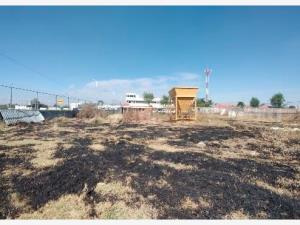 Terreno en venta en San Bernardino Tlaxcalancingo, San Andrés Cholula — foto 3 de 6