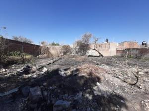 Terreno en venta en Las Pintas, El Salto — foto 3 de 6