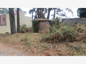 Terreno en venta en Tzompantle Norte, Cuernavaca — foto 2 de 20