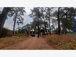 Terreno en venta en Tzompantle Norte, Cuernavaca — foto 3 de 20