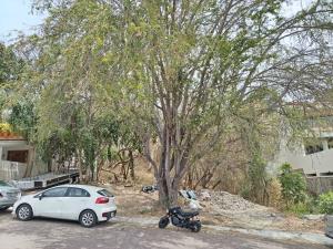 Terreno en venta en Las Cañadas (Bosques de San Isidro), Zapopan — foto 3 de 6