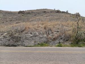 Terreno en venta en Las Cañadas (Bosques de San Isidro), Zapopan — foto 2 de 21