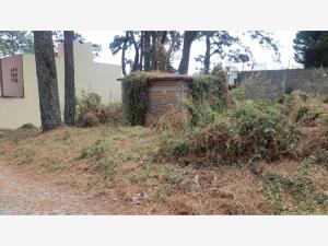 Terreno en venta en Lomas de Tzompantle, Cuernavaca — foto 3 de 10