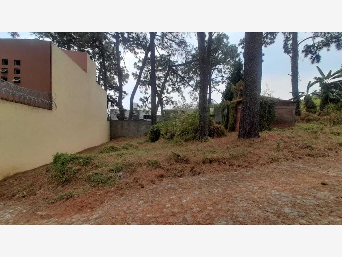 Terreno en venta en Lomas de Tzompantle, Cuernavaca — foto 1 de 10