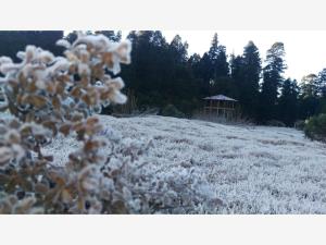 Terreno en venta en Mineral del Monte Centro, Mineral del Monte — foto 3 de 12