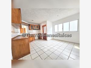 Casa en renta en Jesus Garcia, Centro — foto 3 de 5