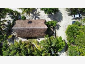 Casa en venta en Mahahual, Othón P. Blanco — foto 3 de 28