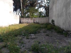 Terreno en venta en Leonardo Rodríguez Alcaine, Medellín de Bravo — foto 2 de 4
