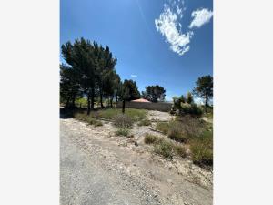 Terreno en venta en Los Siller, Saltillo — foto 3 de 17