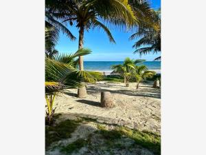 Casa en venta en Mahahual, Othón P. Blanco — foto 2 de 28