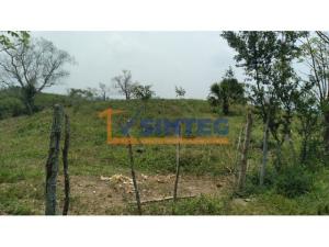 Terreno en venta en Unidad y Trabajo, Papantla — foto 3 de 9