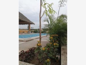 Terreno en venta en Bucerias Centro, Bahía de Banderas — foto 3 de 9