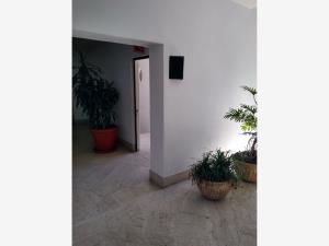 Oficina en renta en Lomas de Santa Fe, Álvaro Obregón — foto 3 de 9
