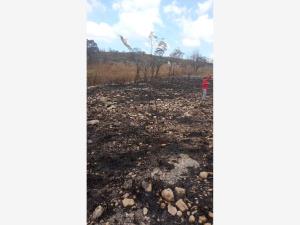 Terreno en venta en Berriozabal Centro, Berriozábal — foto 2 de 3