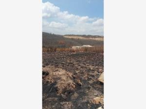 Terreno en venta en Berriozabal Centro, Berriozábal — foto 3 de 3