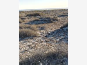 Terreno en venta en Estero de la Bocana, Mulegé — foto 3 de 7