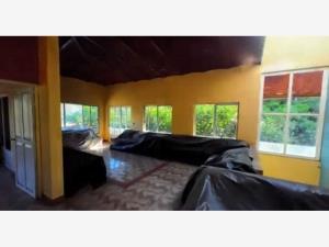 Casa en venta en San Juan de Amula, El Limón — foto 3 de 5