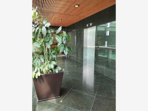 Oficina en renta en El Piru Santa Fe, Álvaro Obregón — foto 3 de 10