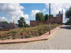 Terreno en venta en Lomas de Huizquilco, Zapotlanejo — foto 2 de 10