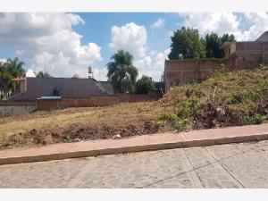 Terreno en venta en Lomas de Huizquilco, Zapotlanejo — foto 3 de 10