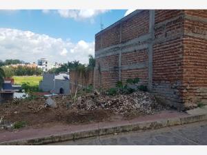 Terreno en venta en Lomas de Huizquilco, Zapotlanejo — foto 3 de 10