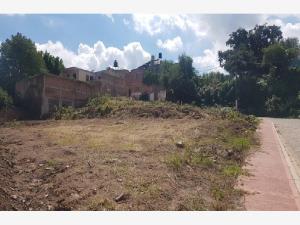 Terreno en venta en Lomas de Huizquilco, Zapotlanejo — foto 2 de 10