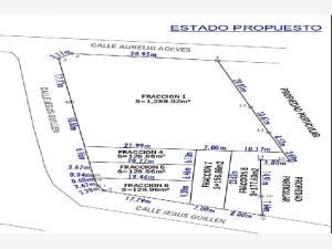 Terreno en venta en Lomas de Huizquilco, Zapotlanejo — foto 3 de 10