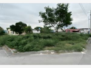 Terreno en venta en San Genaro, Cadereyta Jiménez — foto 2 de 3