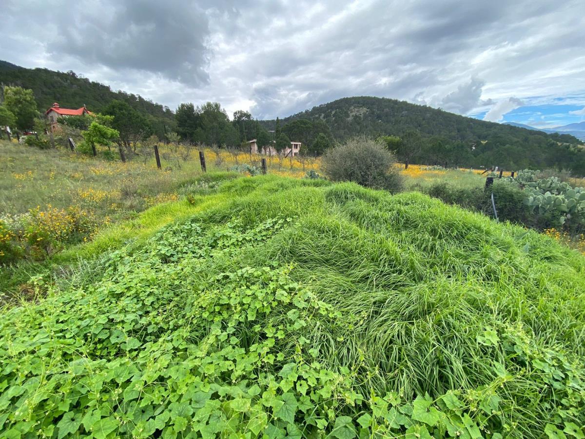 Terreno en venta en San Antonio de las Alazanas, Arteaga — foto 1 de 12