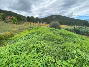 Terreno en venta en San Antonio de las Alazanas, Arteaga, Coahuila de Zaragoza