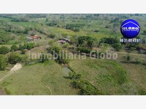Finca-Rancho en venta en Profesor Caparroso 1ra. Sección, Macuspana — foto 2 de 19