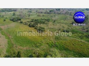 Finca-Rancho en venta en Profesor Caparroso 1ra. Sección, Macuspana — foto 3 de 19