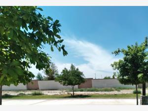 Terreno en venta en La Gran Vinícola, Gómez Palacio, Durango Terreno en venta en La Gran Vinícola, Gómez Palacio, Durango