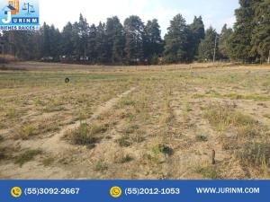 Terreno en venta en San Antonio Zoyatzingo, Amecameca — foto 3 de 11