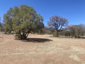Terreno en venta en 6 de Enero, Cuauhtémoc, Chihuahua
