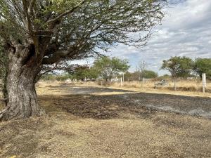 Terreno en venta en Manuel Alarcon, Jantetelco — foto 2 de 5