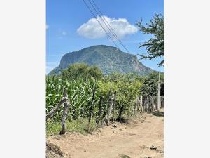 Terreno en venta en Manuel Alarcon, Jantetelco — foto 2 de 5