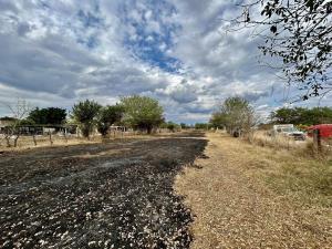 Terreno en venta en Manuel Alarcon, Jantetelco — foto 3 de 3
