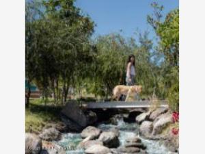 Terreno en venta en Lomas de Angelópolis, San Andrés Cholula — foto 3 de 4