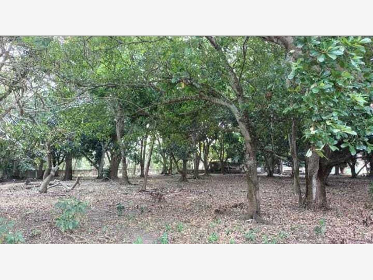 Terreno en venta en Medellín, Medellín de Bravo — foto 1 de 9
