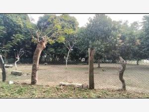 Terreno en venta en Medellín, Medellín de Bravo — foto 2 de 9