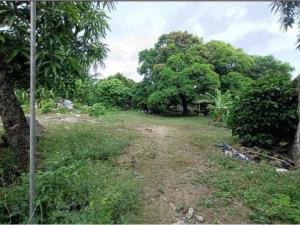 Terreno en venta en Las Bajadas, Veracruz — foto 3 de 10
