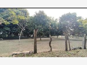 Terreno en venta en El Zapote, Alvarado — foto 2 de 4