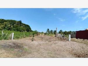 Terreno en venta en El Zapote, Alvarado — foto 3 de 4